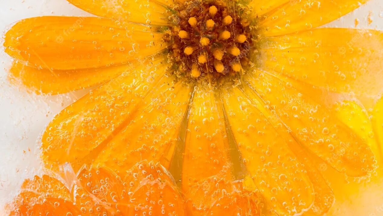 Calendula officinalis is a universal plant that is suitable for any skin type. 